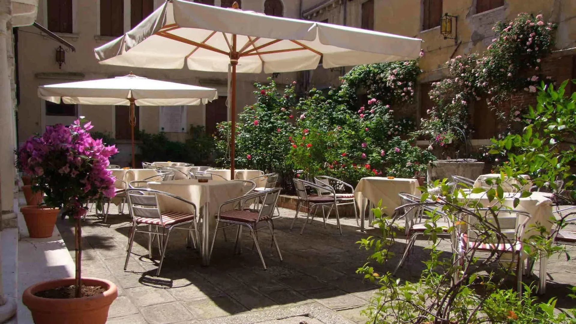 Domus Ciliota Hotel Venice